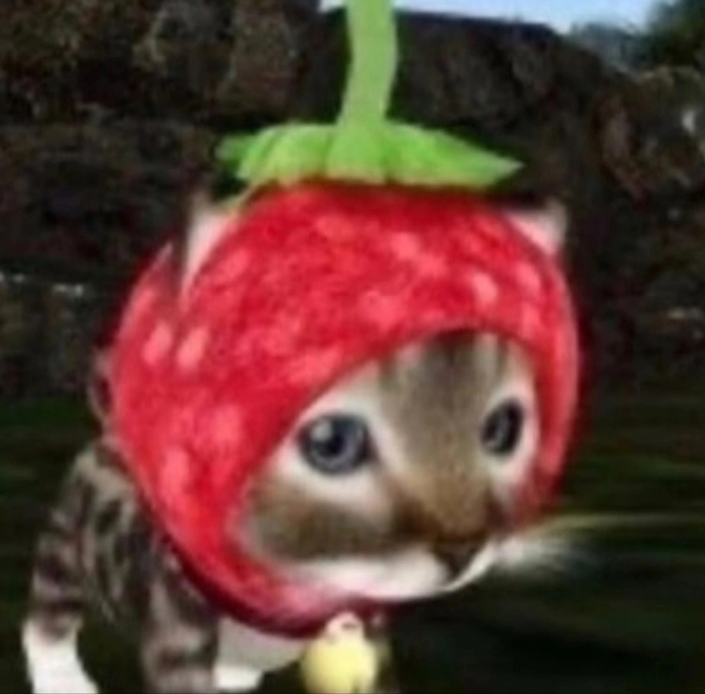 Meet your Posher, Ruth - Picture 1 of 1